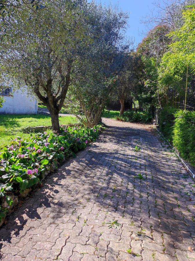 Villa Olivaie St Ange ラ・ゴード エクステリア 写真